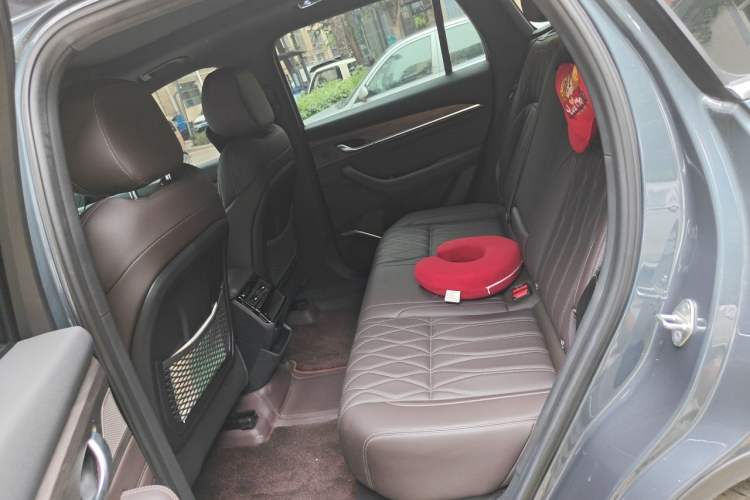 Used Geely Auto Monjaro L 2025 2.0TD Automatic Xingyun Version Left Rear Seat