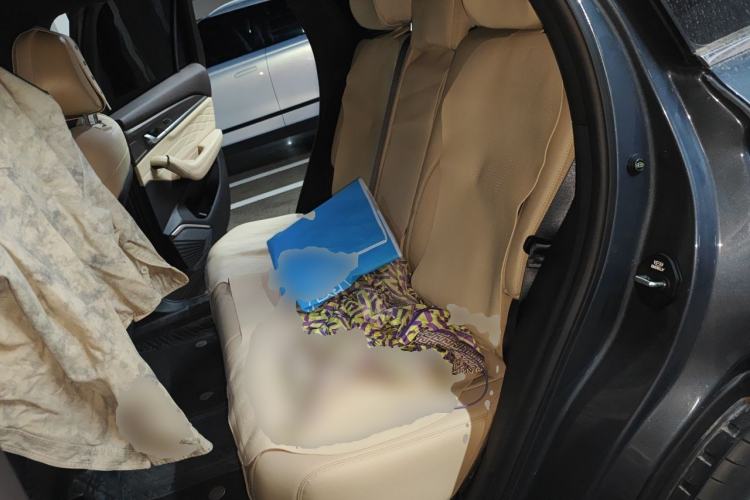 Used Geely Auto Monjaro L 2025 Dongfang Yao 2.0TD Automatic Lanxing Edition Left Rear Seat