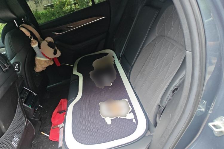 Used Geely Auto Monjaro L 2025 Dongfang Yao 2.0TD Automatic Lanxing Edition Left Rear Seat
