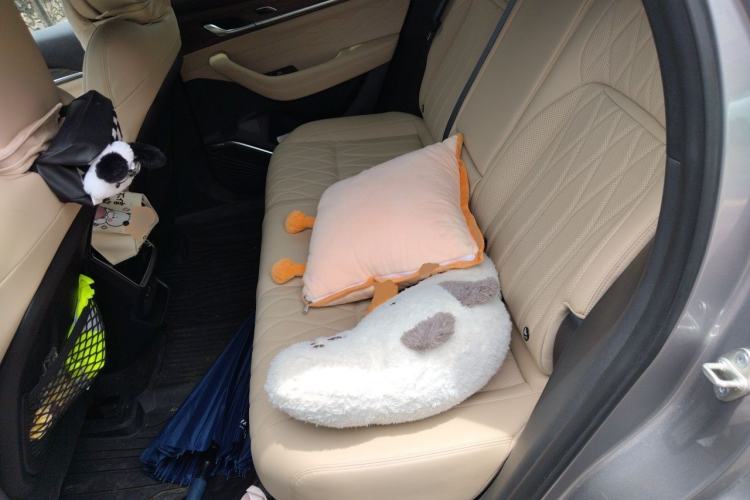 Used Geely Auto Monjaro L 2025 Dongfang Yao 2.0TD Automatic Lanxing Edition Left Rear Seat