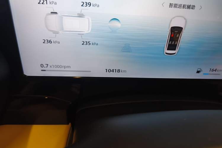 Used Geely Auto Monjaro L 2025 Dongfang Yao 2.0TD Automatic Lanxing Edition Odometer Close Up