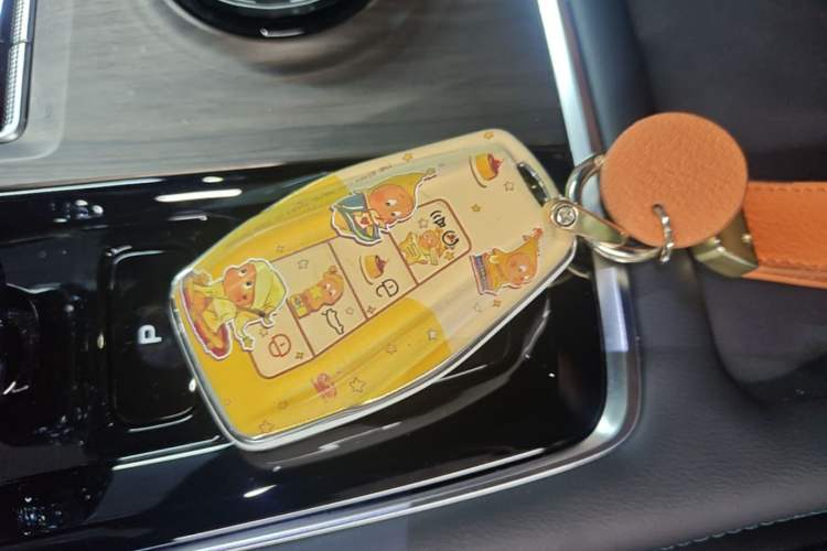 Used Geely Auto Monjaro L 2025 Dongfang Yao 2.0TD Automatic Lanxing Edition Vehicle Key