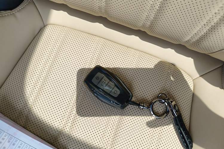 Used Geely Auto Monjaro L 2025 Dongfang Yao 2.0TD Automatic Lanxing Edition Vehicle Key