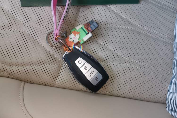 Used Geely Auto Monjaro L 2025 Dongfang Yao 2.0TD Automatic Lanxing Edition Vehicle Key
