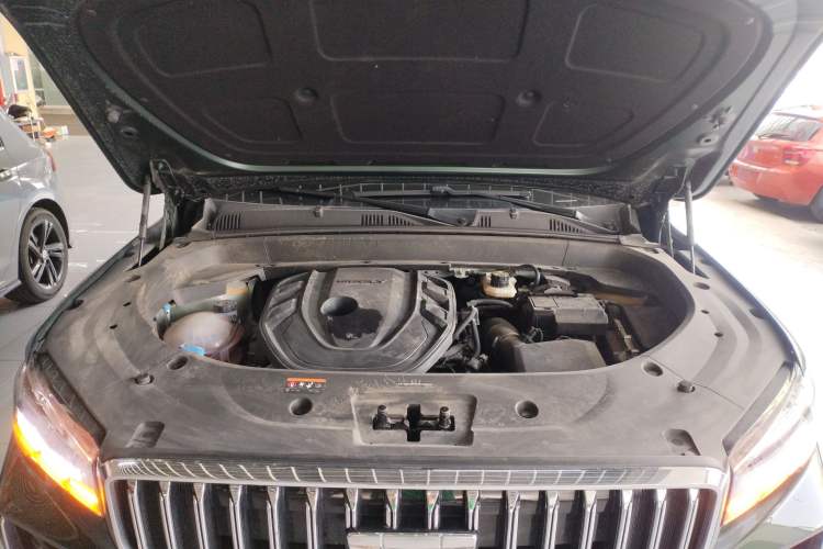 Used Geely Auto Monjaro L 2025 Dongfang Yao 2.0TD Automatic Lanxing Edition Engine Bay