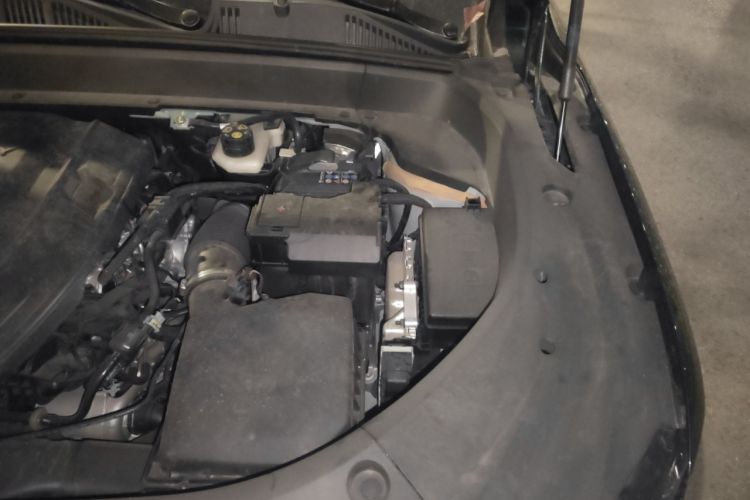 Used Geely Auto Monjaro L 2025 Dongfang Yao 2.0TD Automatic Lanxing Edition Engine Bay Left
