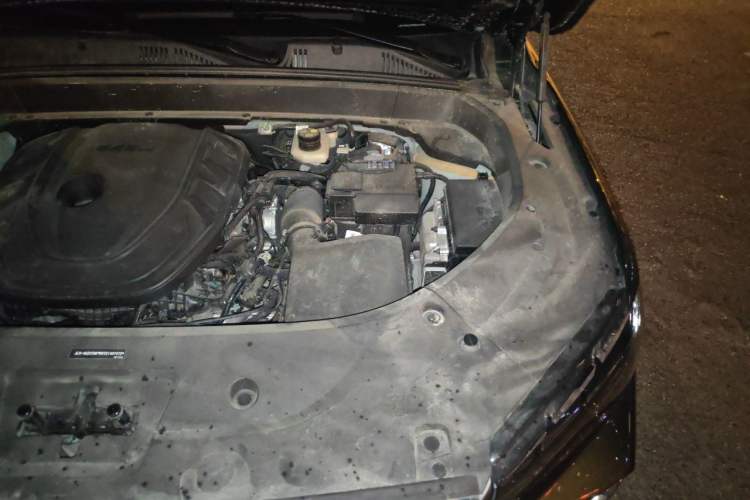 Used Geely Auto Monjaro L 2025 Dongfang Yao 2.0TD Automatic Lanxing Edition Engine Bay Left