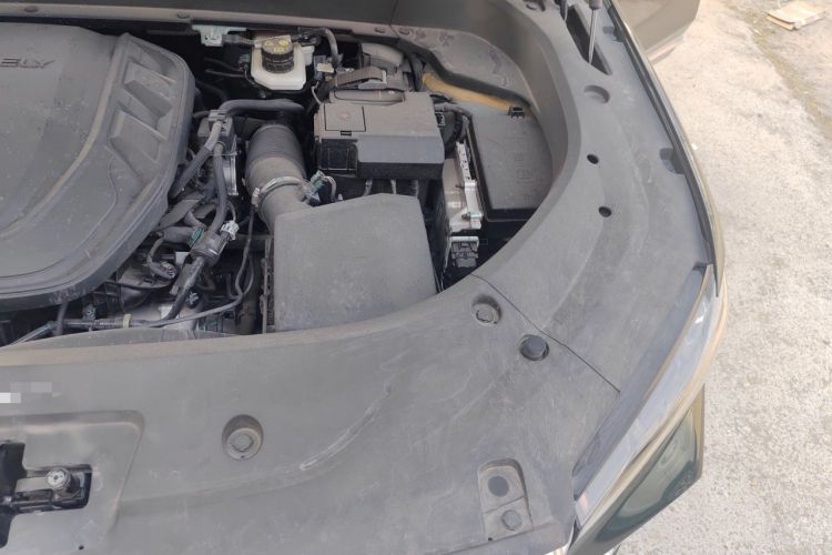 Used Geely Auto Monjaro L 2025 Dongfang Yao 2.0TD Automatic Lanxing Edition Engine Bay Left