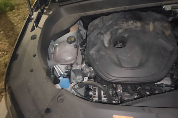 Used Geely Auto Monjaro L 2025 Dongfang Yao 2.0TD Automatic Lanxing Edition Engine Bay Right