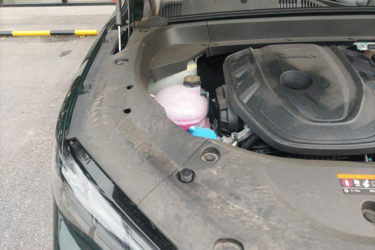 Used Geely Auto Monjaro L 2025 Dongfang Yao 2.0TD Automatic Lanxing Edition Engine Bay Right