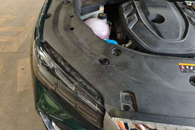 Used Geely Auto Monjaro L 2025 Dongfang Yao 2.0TD Automatic Jinzhao Edition Engine Bay Right