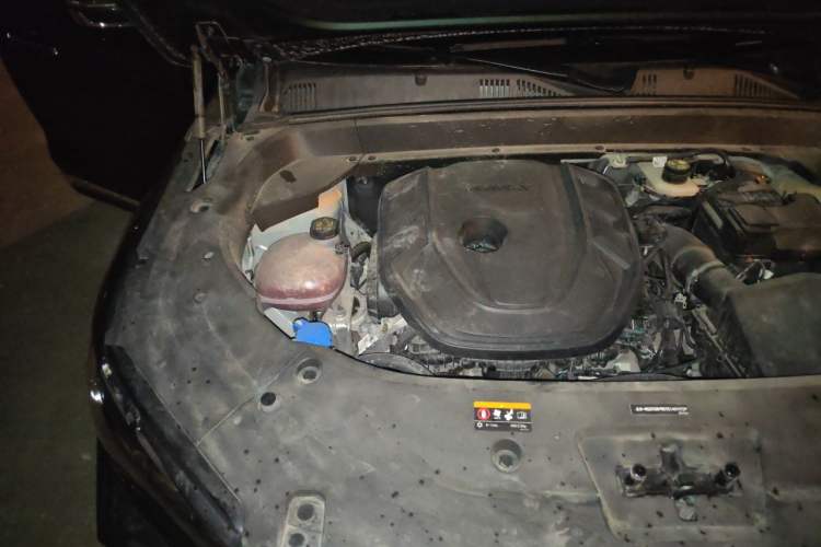 Used Geely Auto Monjaro L 2025 Dongfang Yao 2.0TD Automatic Lanxing Edition Engine Bay Right