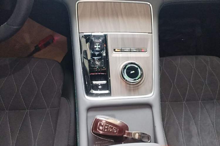 Used Geely Auto Monjaro L 2025 Dongfang Yao 2.0TD Automatic All-Wheel-Drive Wangyue Edition Gear Lever