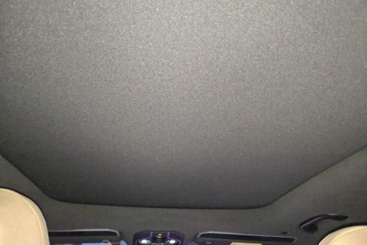 Used Geely Auto Monjaro L 2025 Dongfang Yao 2.0TD Automatic Lanxing Edition Headliner