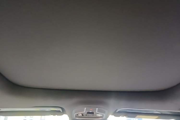 Used Geely Auto Monjaro L 2025 Dongfang Yao 2.0TD Automatic Lanxing Edition Headliner