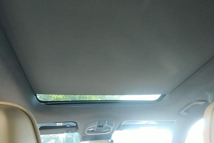 Used Geely Auto Monjaro L 2025 Dongfang Yao 2.0TD Automatic All-Wheel-Drive Wangyue Edition Headliner