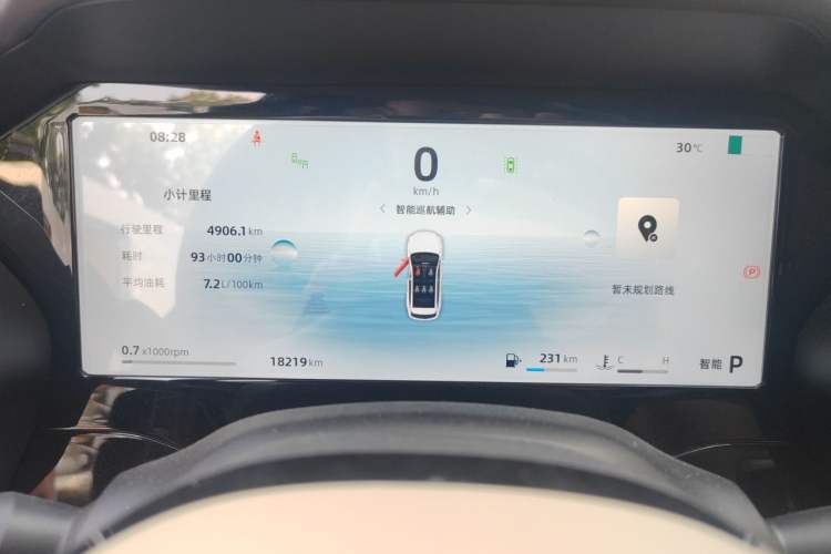 Used Geely Auto Monjaro L 2025 Dongfang Yao 2.0TD Automatic Lanxing Edition Instrument Cluster