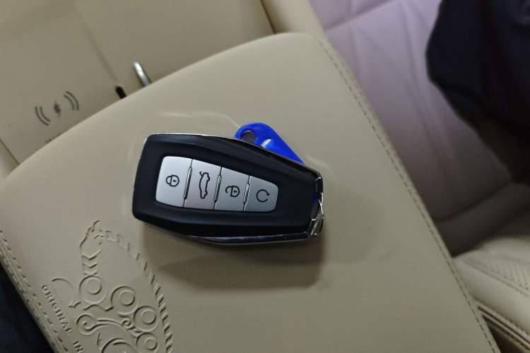Used Geely Auto Monjaro L 2025 Dongfang Yao 2.0TD Automatic All-Wheel-Drive Wangyue Edition Interior 1