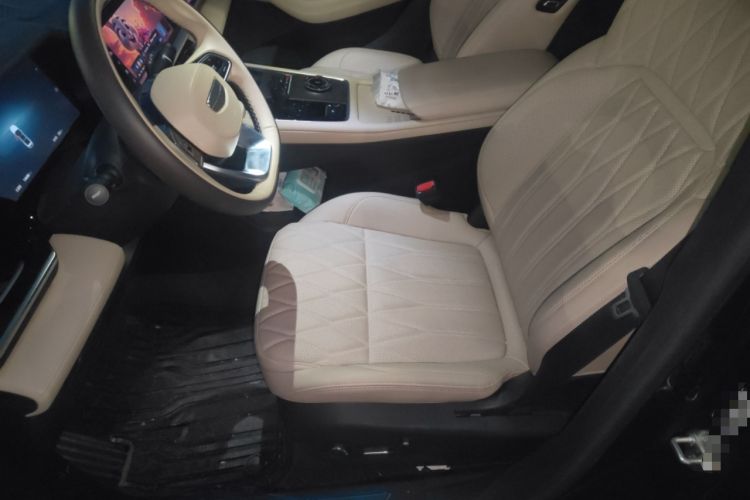 Used Geely Auto Monjaro L 2025 Dongfang Yao 2.0TD Automatic Lanxing Edition Left Front Seat