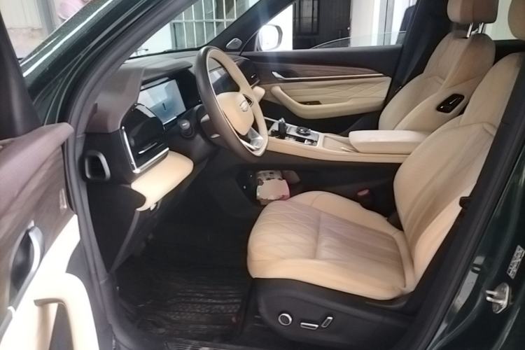 Used Geely Auto Monjaro L 2025 Dongfang Yao 2.0TD Automatic All-Wheel-Drive Wangyue Edition Left Front Seat