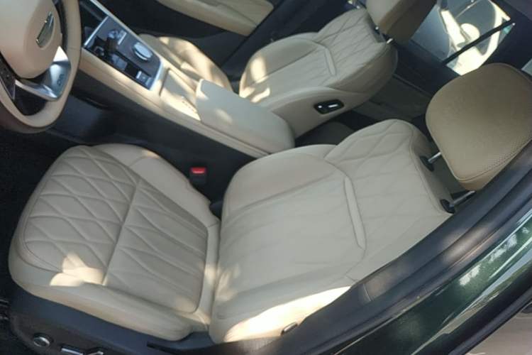 Used Geely Auto Monjaro L 2025 Dongfang Yao 2.0TD Automatic All-Wheel-Drive Wangyue Edition Left Front Seat
