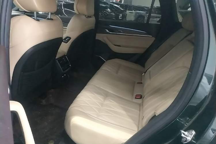 Used Geely Auto Monjaro L 2025 Dongfang Yao 2.0TD Automatic Lanxing Edition Left Rear Seat