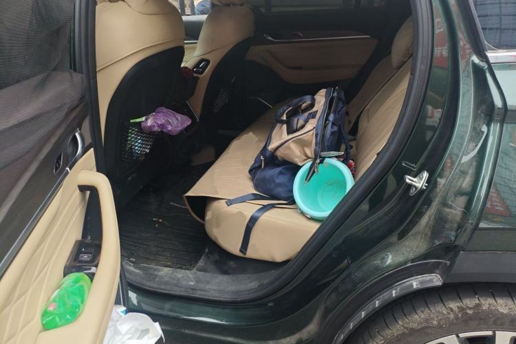 Used Geely Auto Monjaro L 2025 Dongfang Yao 2.0TD Automatic Lanxing Edition Left Rear Seat