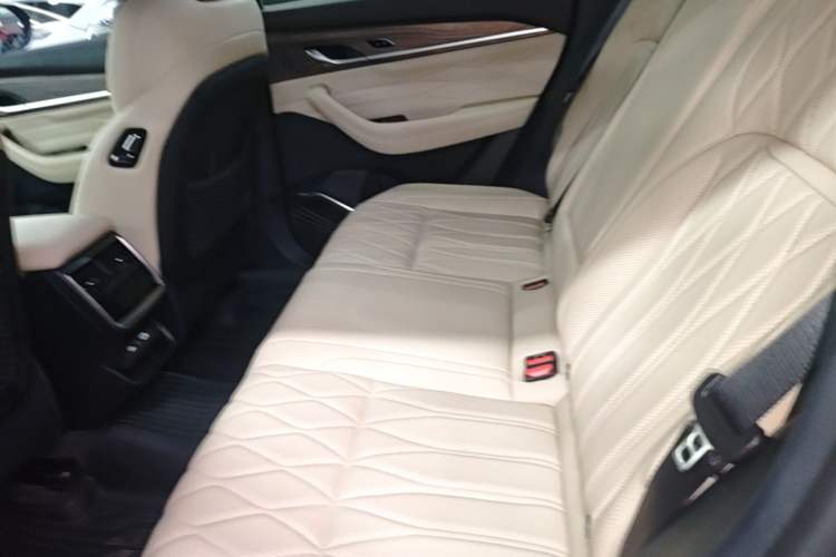 Used Geely Auto Monjaro L 2025 Dongfang Yao 2.0TD Automatic All-Wheel-Drive Wangyue Edition Left Rear Seat