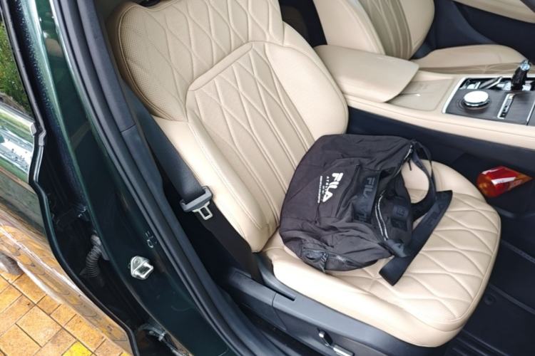 Used Geely Auto Monjaro L 2025 Dongfang Yao 2.0TD Automatic All-Wheel-Drive Wangyue Edition Right Front Seat