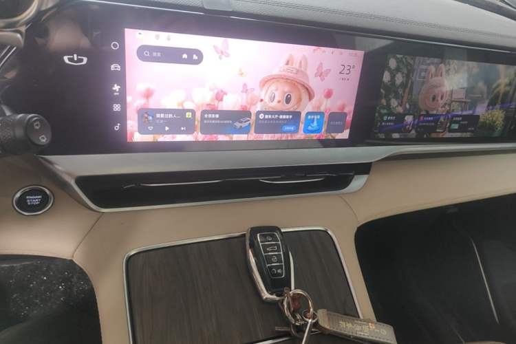 Used Geely Auto Monjaro L 2025 Dongfang Yao 2.0TD Automatic Lanxing Edition Audio And AC Panel