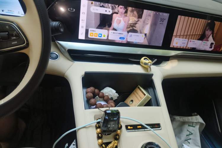 Used Geely Auto Monjaro L 2025 Dongfang Yao 2.0TD Automatic Lanxing Edition Audio And AC Panel