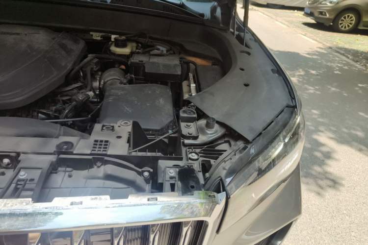 Used Geely Auto Monjaro L 2025 Dongfang Yao 2.0TD Automatic Lanxing Edition Engine Bay Left