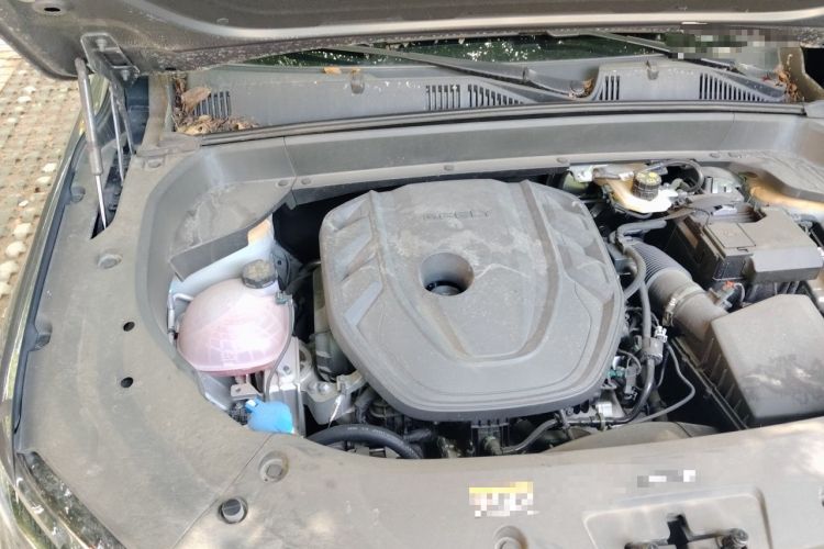 Used Geely Auto Monjaro L 2025 Dongfang Yao 2.0TD Automatic All-Wheel-Drive Wangyue Edition Engine Bay Right