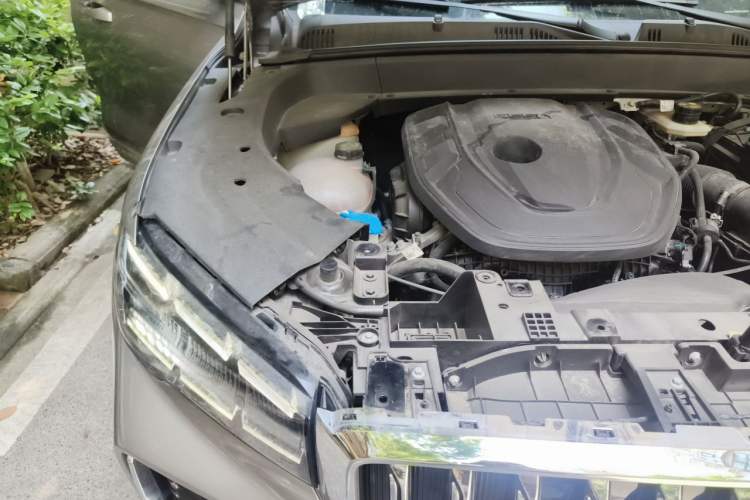 Used Geely Auto Monjaro L 2025 Dongfang Yao 2.0TD Automatic Lanxing Edition Engine Bay Right