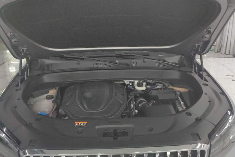 Used Geely Auto Monjaro L 2025 Dongfang Yao 2.0TD Automatic Lanxing Edition Engine Bay