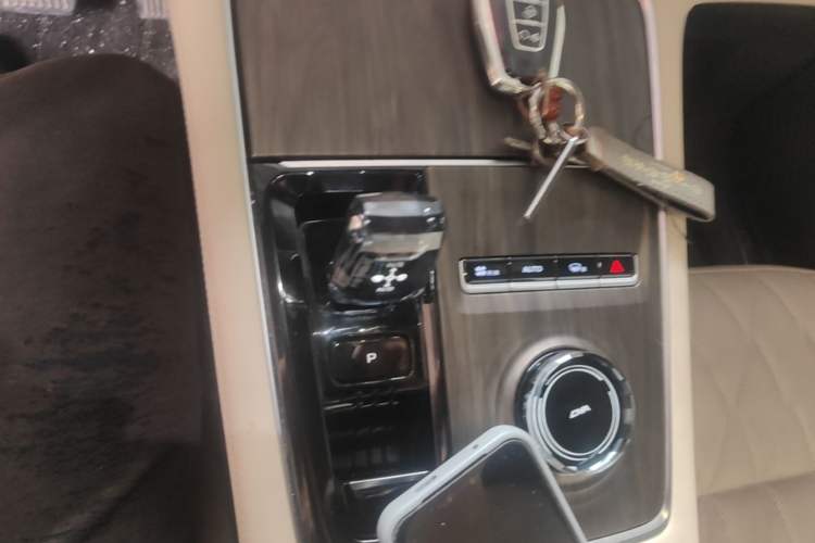 Used Geely Auto Monjaro L 2025 Dongfang Yao 2.0TD Automatic Lanxing Edition Gear Lever