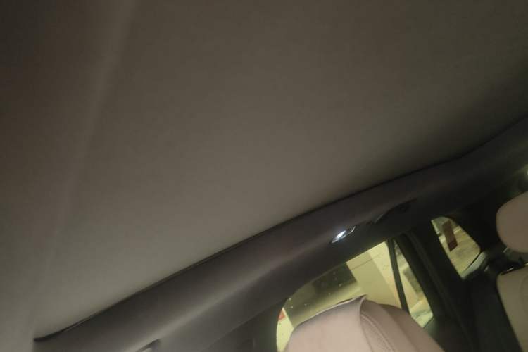 Used Geely Auto Monjaro L 2025 Dongfang Yao 2.0TD Automatic Lanxing Edition Headliner