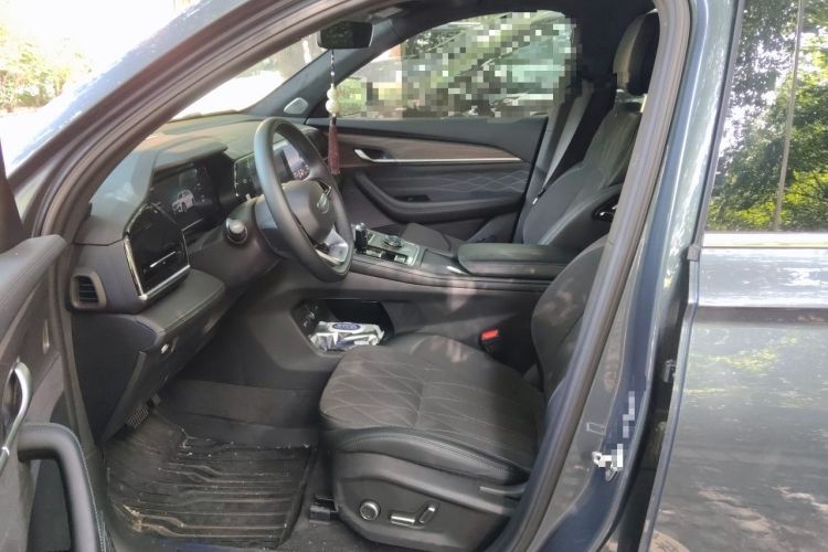 Used Geely Auto Monjaro L 2025 Dongfang Yao 2.0TD Automatic All-Wheel-Drive Wangyue Edition Left Front Seat