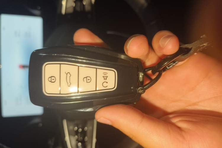 Used Geely Auto Monjaro L 2025 Dongfang Yao 2.0TD Automatic Lanxing Edition Vehicle Key