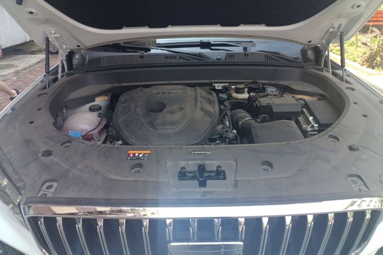 Used Geely Auto Monjaro L 2025 Dongfang Yao 2.0TD Automatic Lanxing Edition Engine Bay