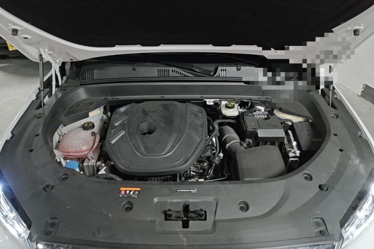 Used Geely Auto Monjaro L 2025 Dongfang Yao 2.0TD Automatic Lanxing Edition Engine Bay