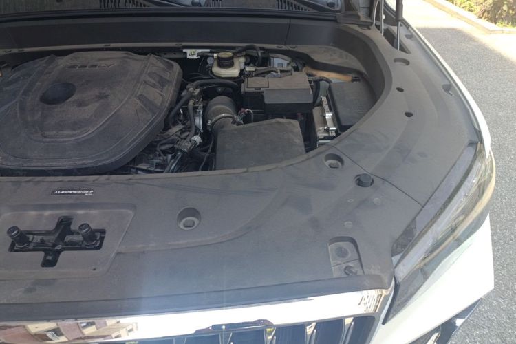 Used Geely Auto Monjaro L 2025 Dongfang Yao 2.0TD Automatic Lanxing Edition Engine Bay Left