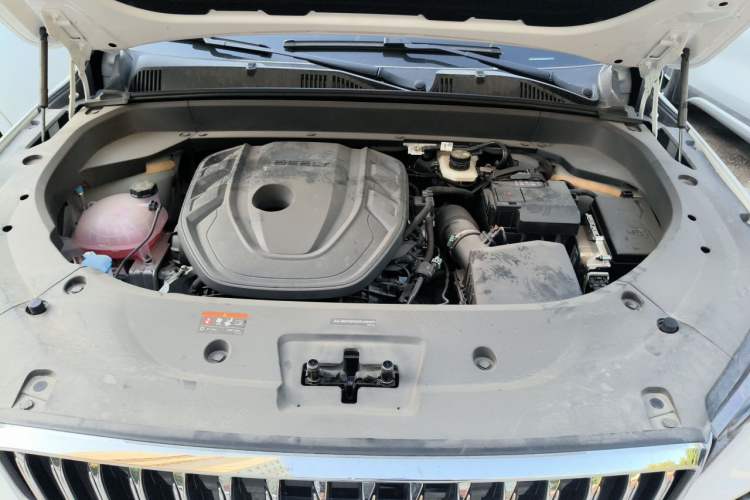 Used Geely Auto Monjaro L 2025 Dongfang Yao 2.0TD Automatic Lanxing Edition Engine Bay