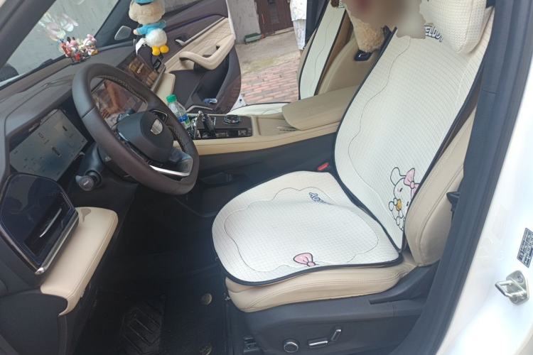 Used Geely Auto Monjaro L 2025 Dongfang Yao 2.0TD Automatic Lanxing Edition Left Front Seat