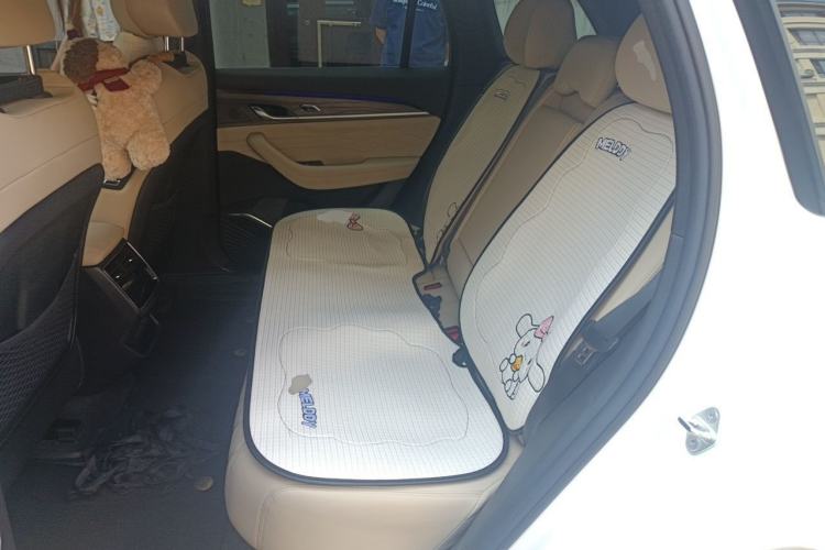 Used Geely Auto Monjaro L 2025 Dongfang Yao 2.0TD Automatic Lanxing Edition Left Rear Seat