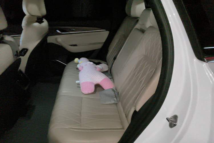Used Geely Auto Monjaro L 2025 Dongfang Yao 2.0TD Automatic Lanxing Edition Left Rear Seat