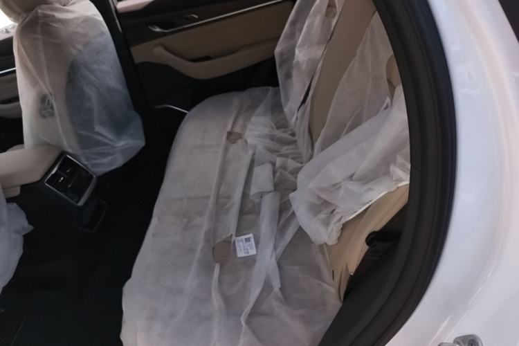 Used Geely Auto Monjaro L 2025 Dongfang Yao 2.0TD Automatic Lanxing Edition Left Rear Seat