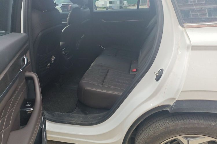 Used Geely Auto Monjaro L 2025 2.0TD Automatic Xingyun Version Left Rear Seat