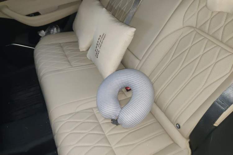 Used Geely Auto Monjaro L 2025 Dongfang Yao 2.0TD Automatic All-Wheel-Drive Wangyue Edition Left Rear Seat