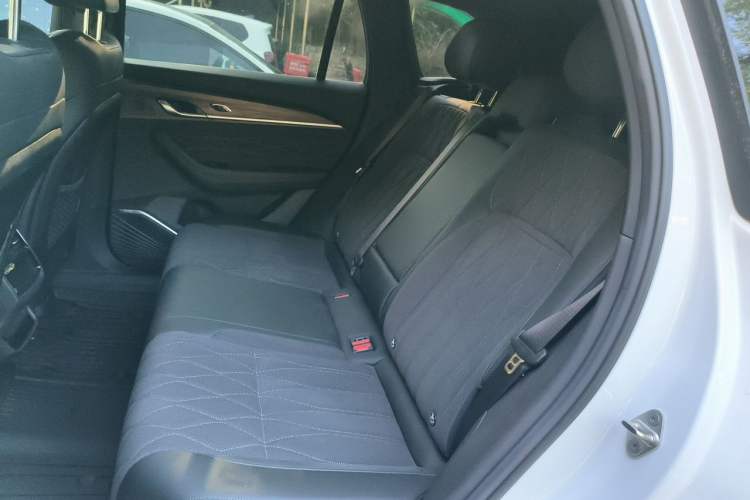 Used Geely Auto Monjaro L 2025 Dongfang Yao 2.0TD Automatic Lanxing Edition Left Rear Seat
